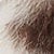 Faux Fur Animal Print Short Jacket - Image 5