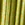 Knit Plisse Mock Neck Jumpsuit - Image 5