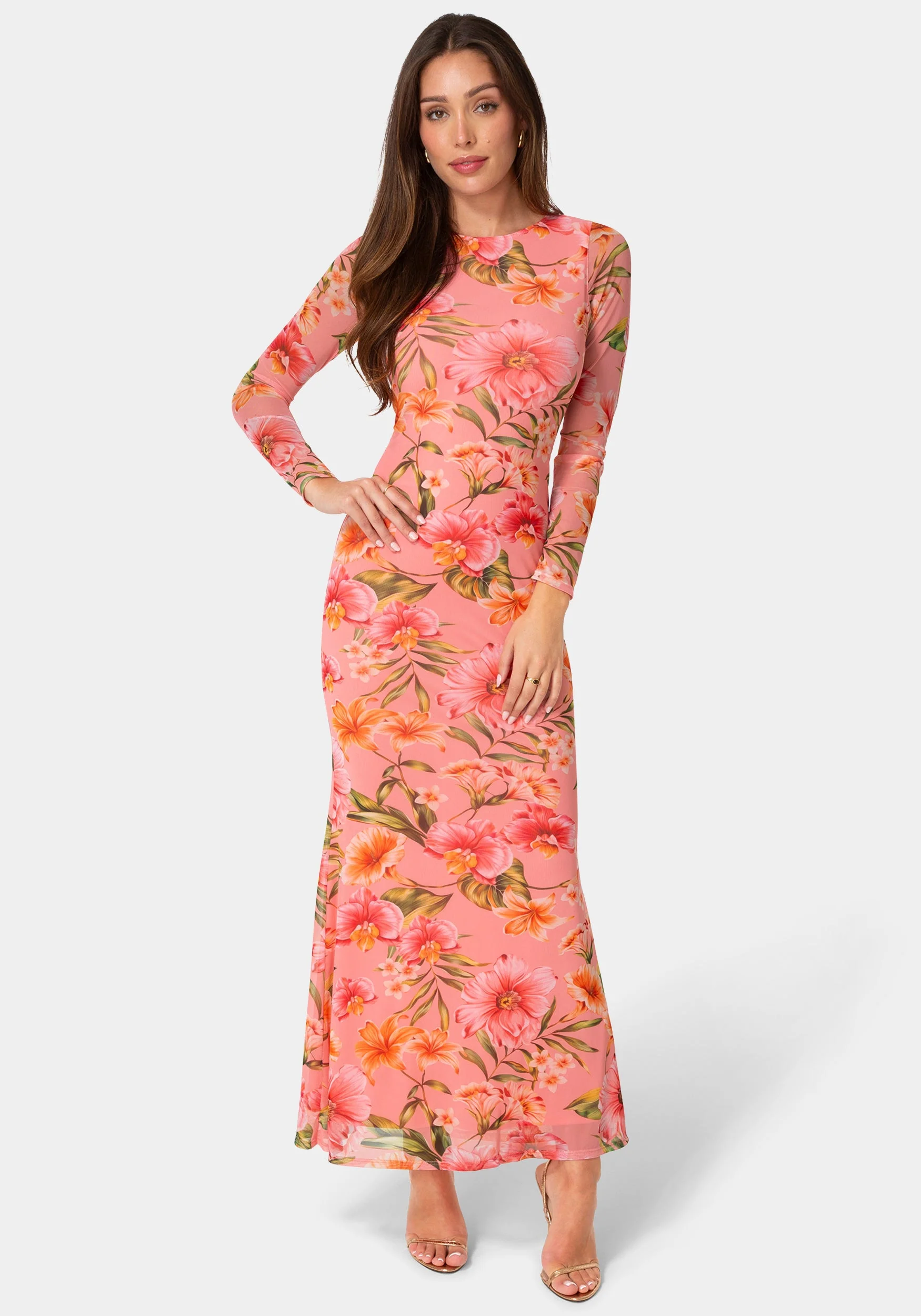 Long Sleeve Mesh Maxi Dress