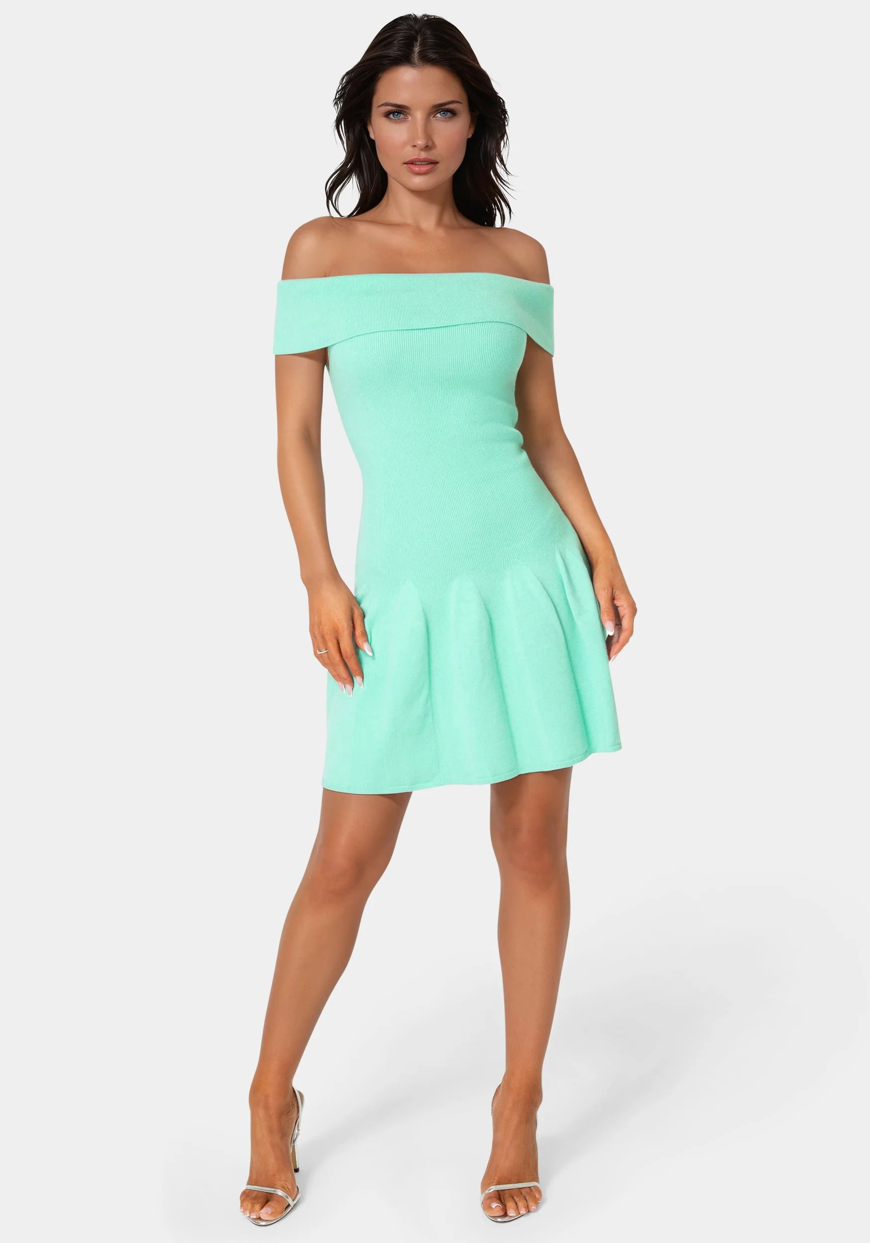 Off the Shoulder Fit and Flare Mini Dress