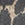 Printed Cheetah Mini Denim Skirt - Image 5