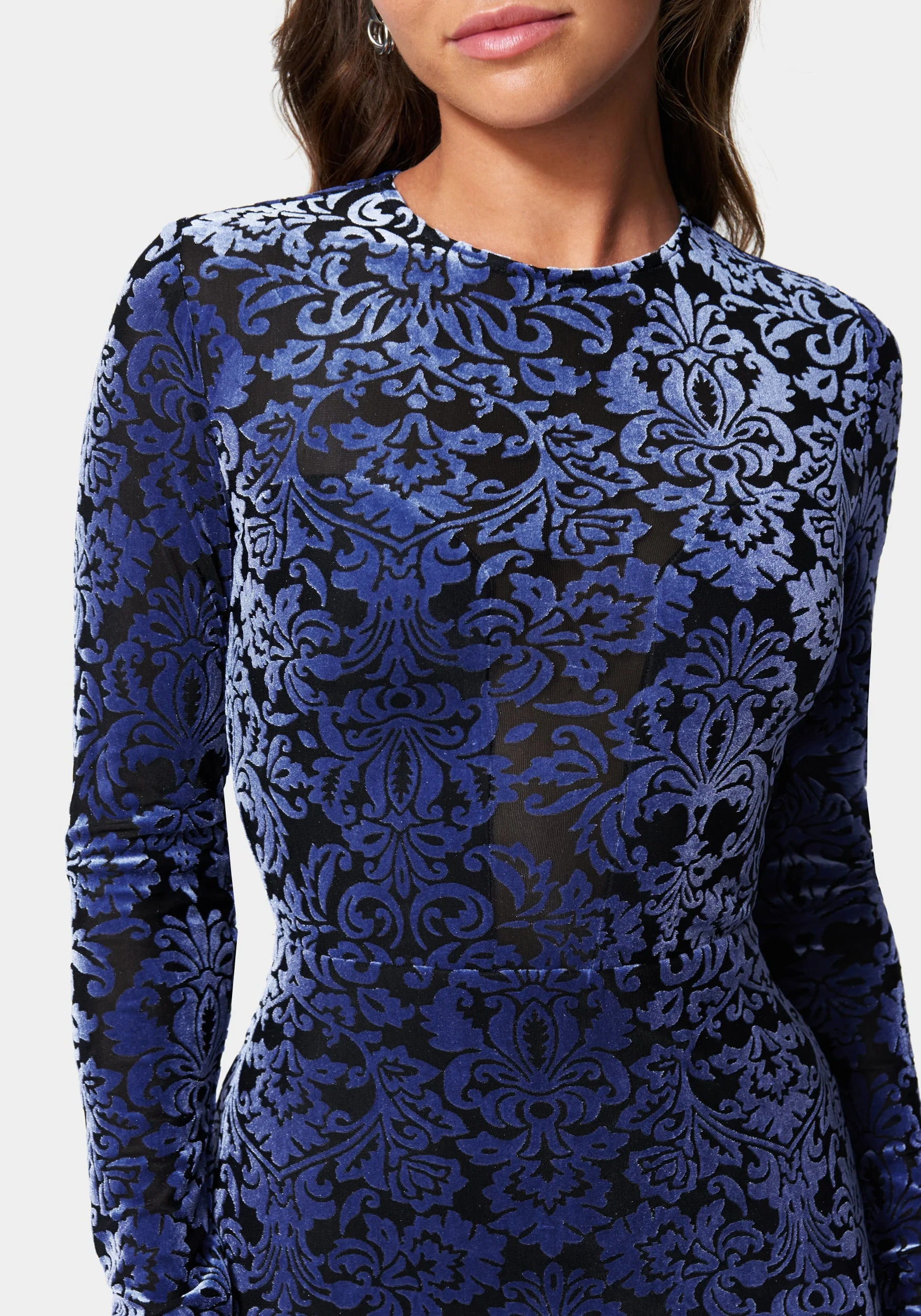 Velvet Burnout Midi Dress - Image 4
